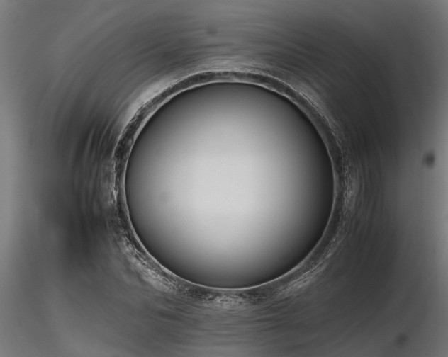 X0000116580974200912101536