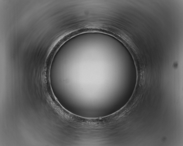 X0000116580976200912101536