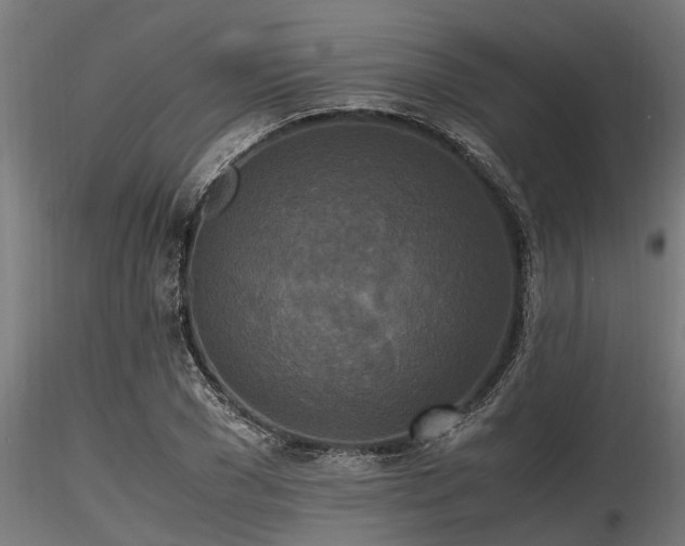 X0000116580977200912101536