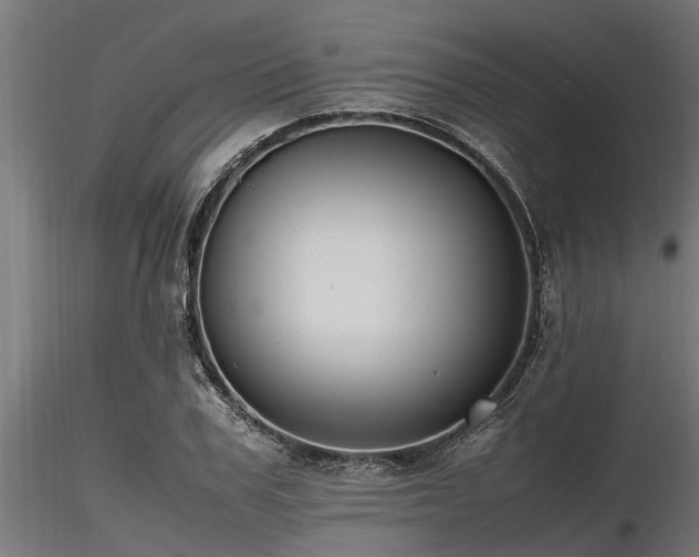 X0000116580979200912101536