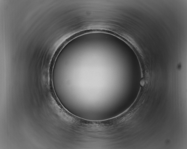 X0000116580980200912101536