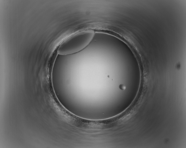 X0000116580981200912101536