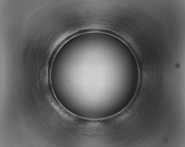 X0000116580982200912101536