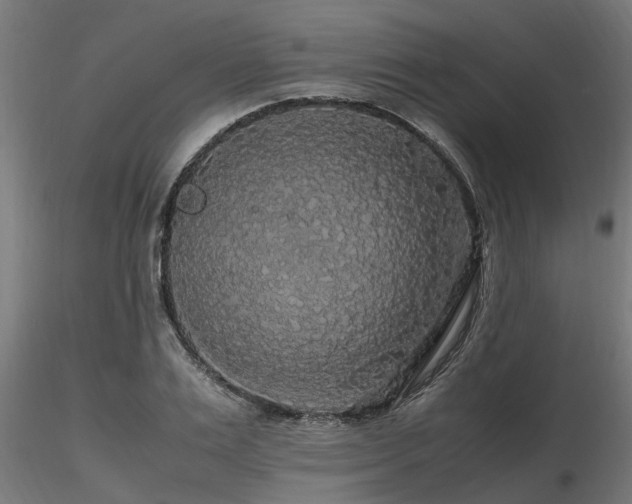 X0000116580983200912101536