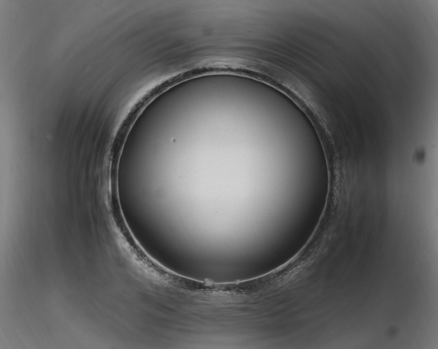 X0000116580984200912101536