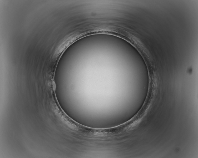 X0000116580985200912101536