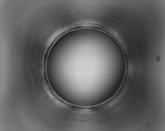 X0000116580986200912101536