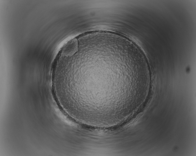 X0000116580987200912101536