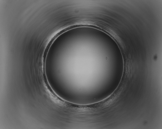 X0000116580988200912101536