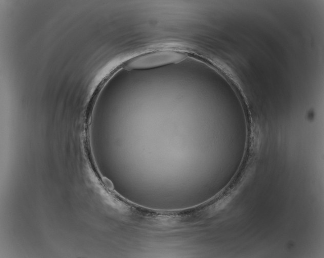 X0000116580989200912101536