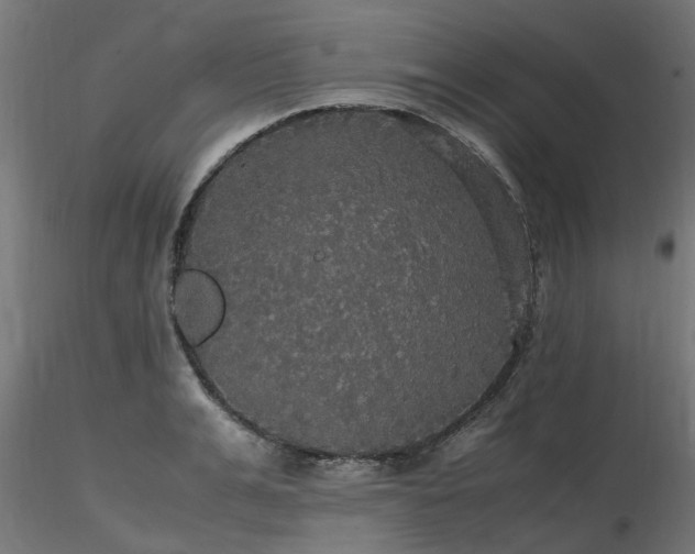 X0000116580991200912101536