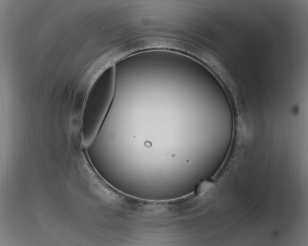 X0000116580993200912101536