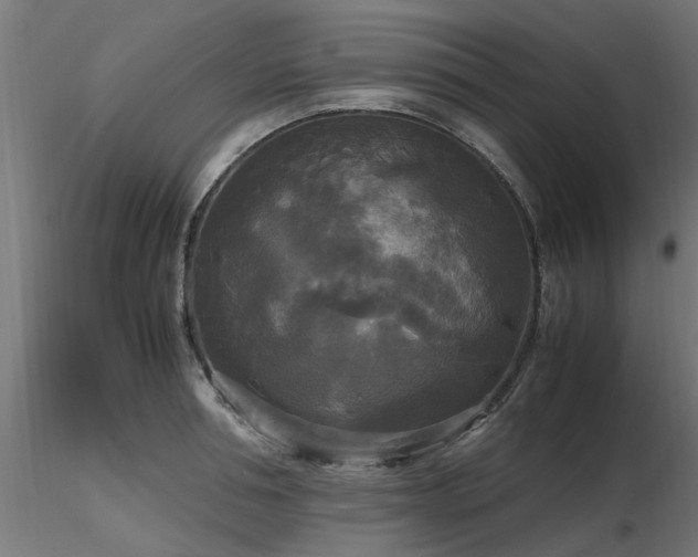 X0000116580994200912101536