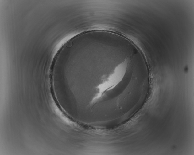 X0000116580995200912101536