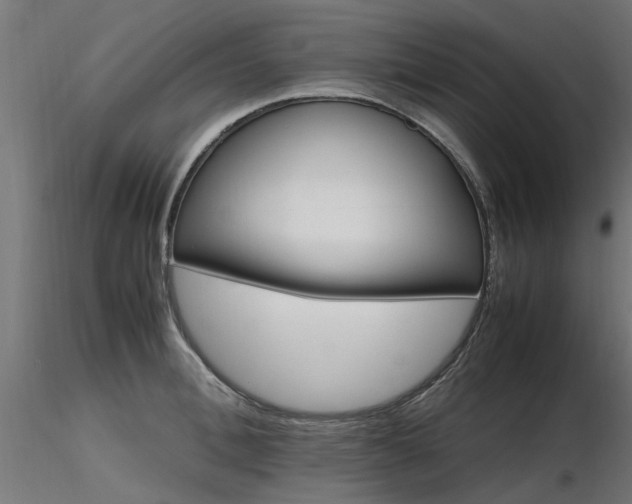 X0000116580996200912101536