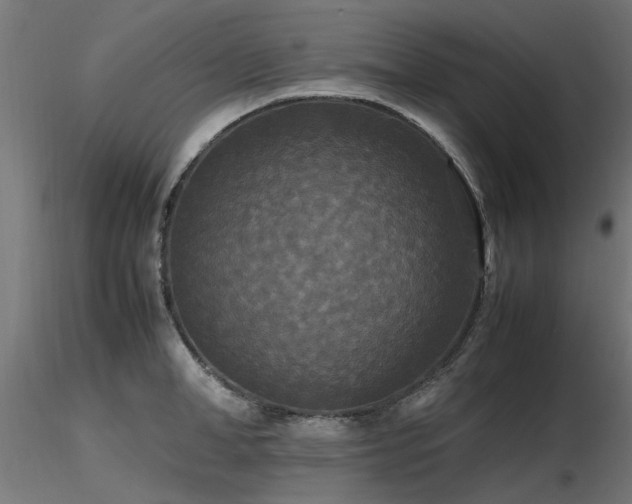 X0000116580998200912101536