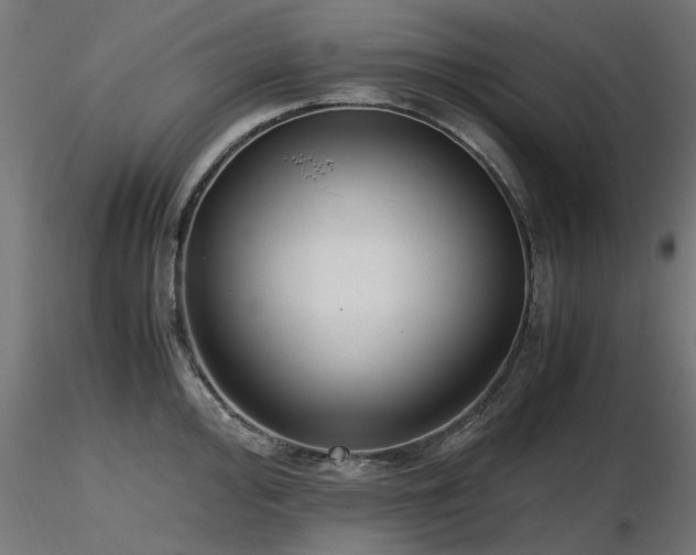 X0000116581000200912101536