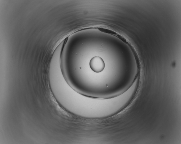 X0000116581001200912101536