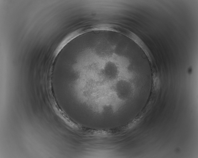 X0000116581002200912101536