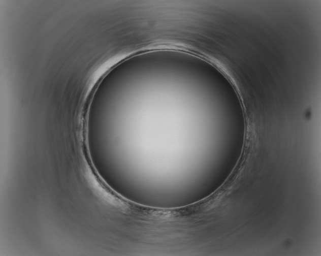 X0000116581003200912101536