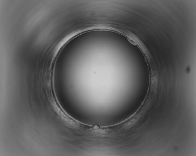 X0000116581004200912101536