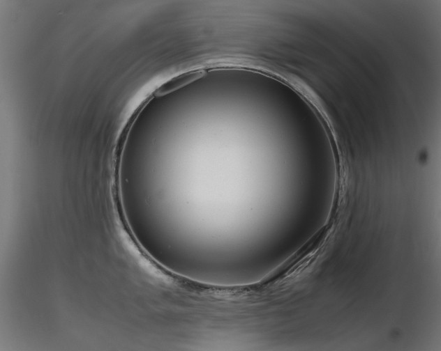 X0000116581005200912101536