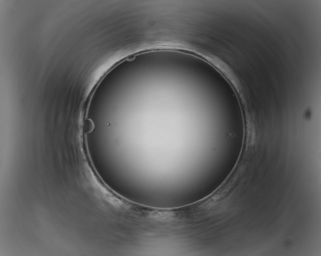 X0000116581006200912101536