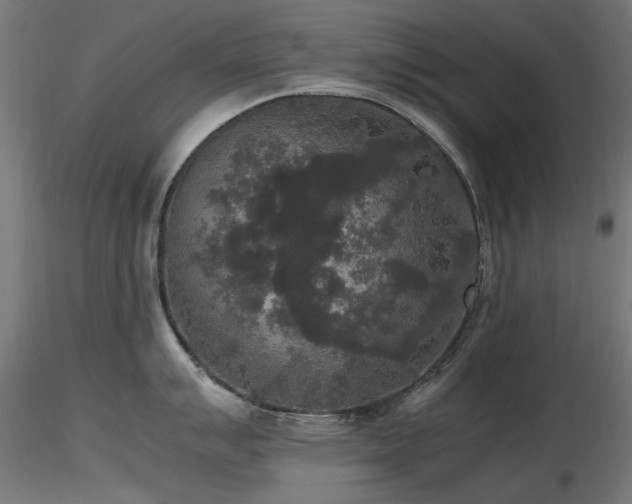 X0000116581007200912101536