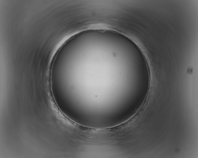 X0000116581008200912101536