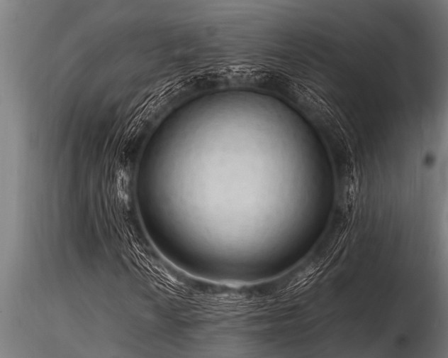 X0000116581010200912101535