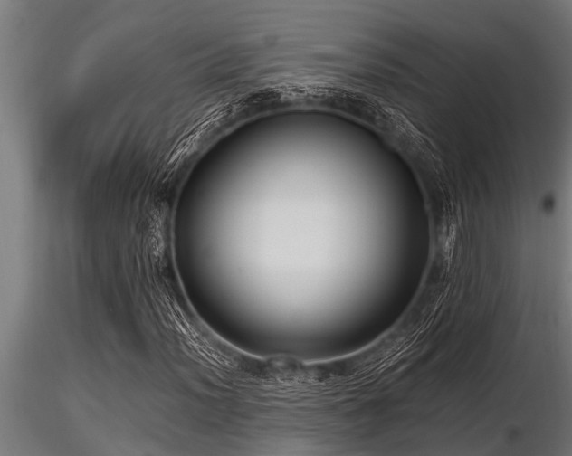 X0000116581012200912101535