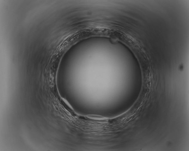 X0000116581013200912101535