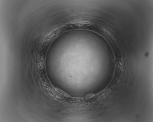 X0000116581014200912101535