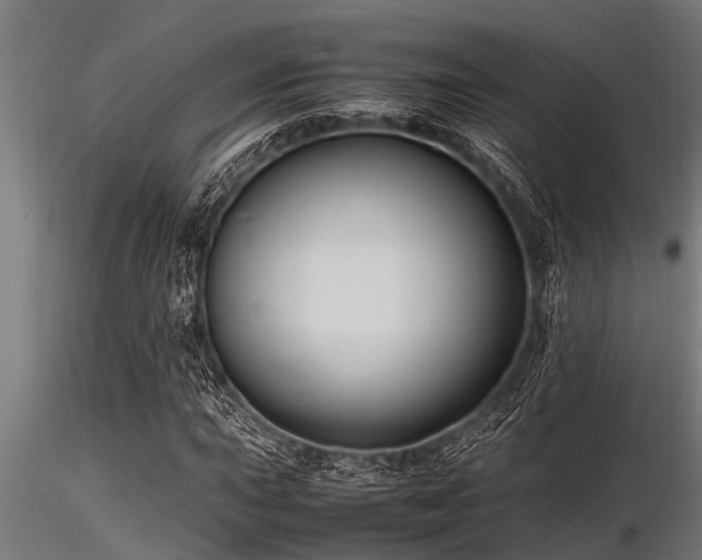 X0000116581015200912101535