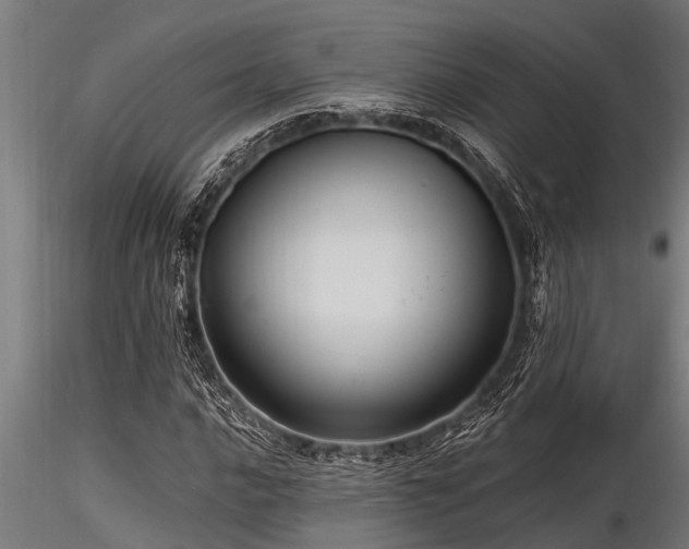 X0000116581016200912101535