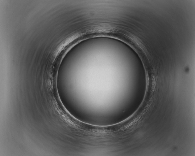 X0000116581018200912101535