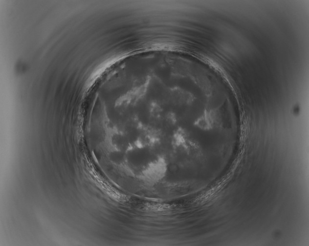 X0000116581019200912101535