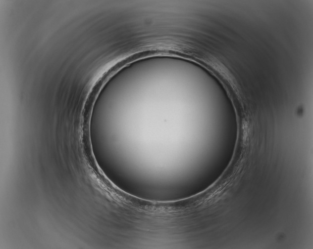 X0000116581020200912101535