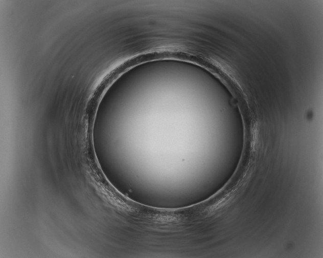 X0000116581021200912101535