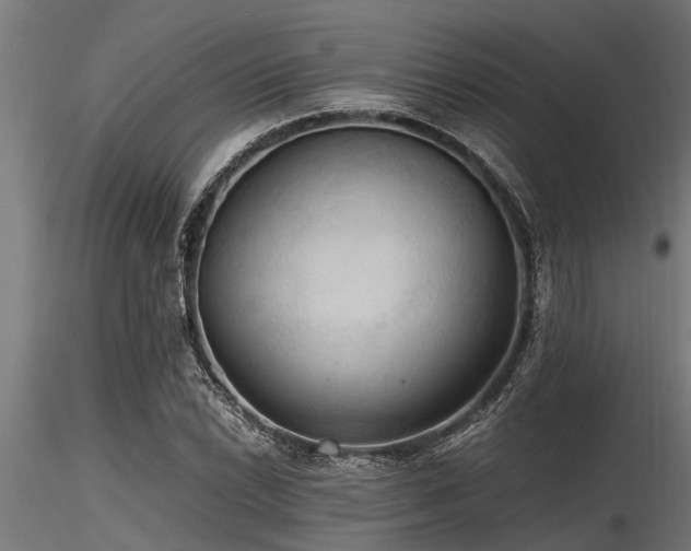 X0000116581022200912101535