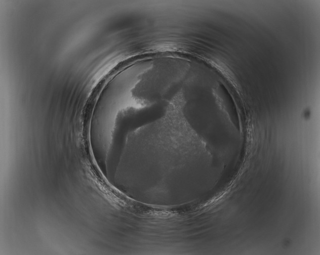 X0000116581023200912101535