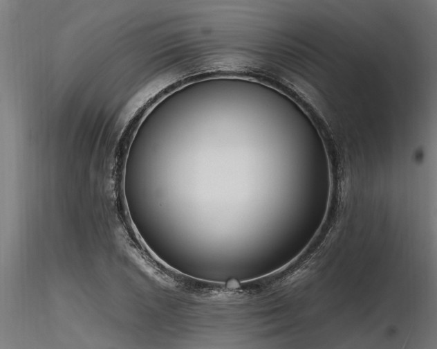 X0000116581026200912101535