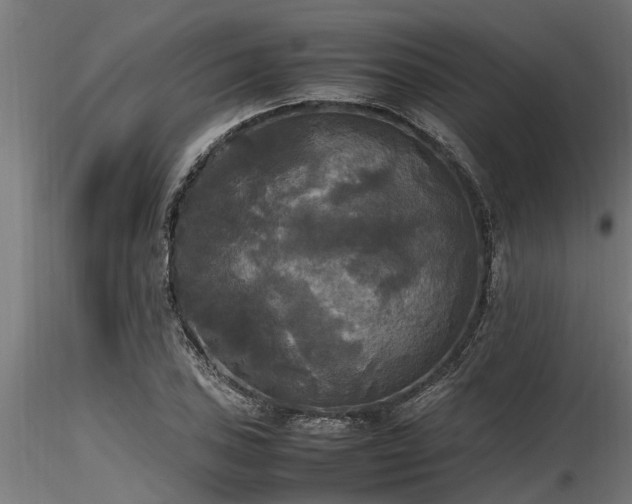 X0000116581027200912101535