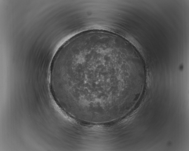 X0000116581028200912101535