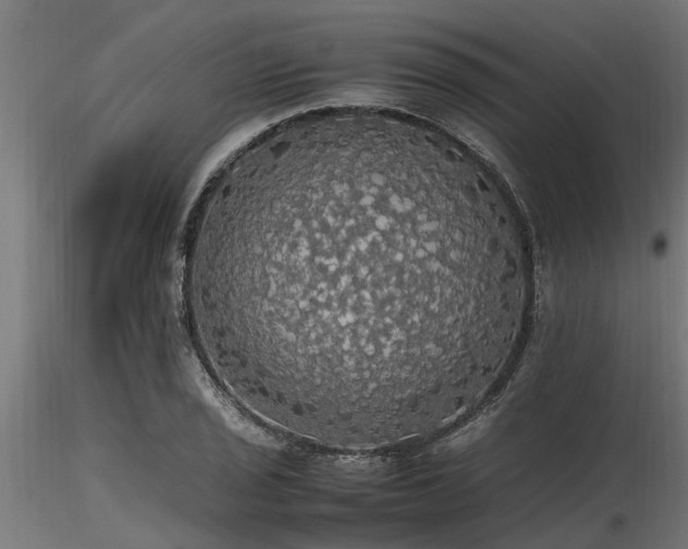 X0000116581029200912101535