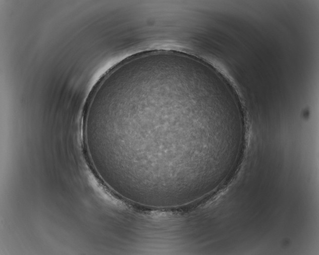 X0000116581032200912101535