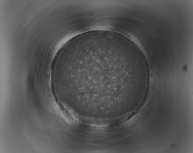 X0000116581035200912101536