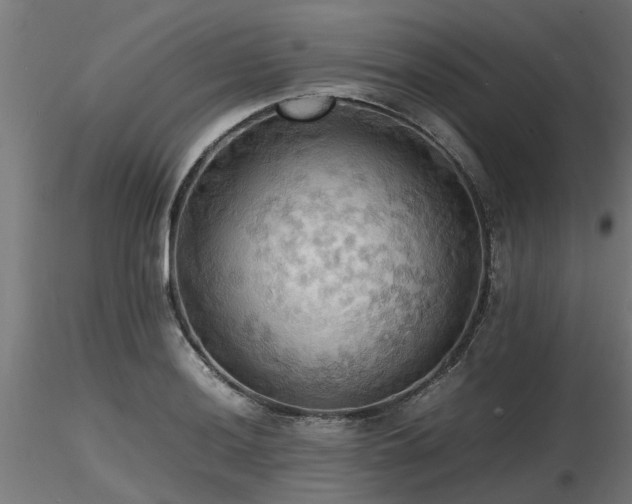 X0000116581036200912101536