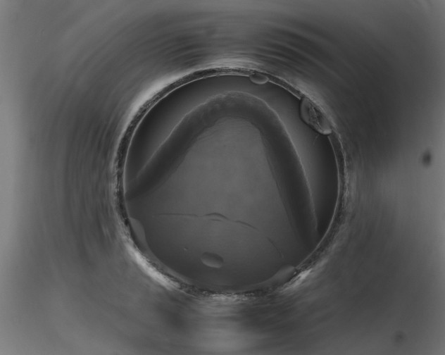 X0000116581037200912101536