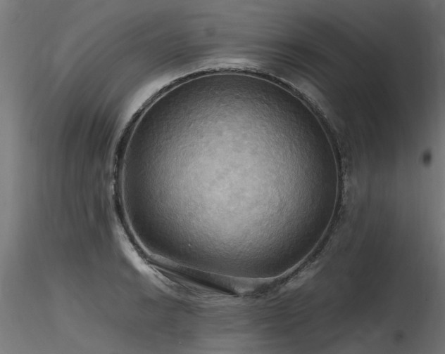 X0000116581038200912101536